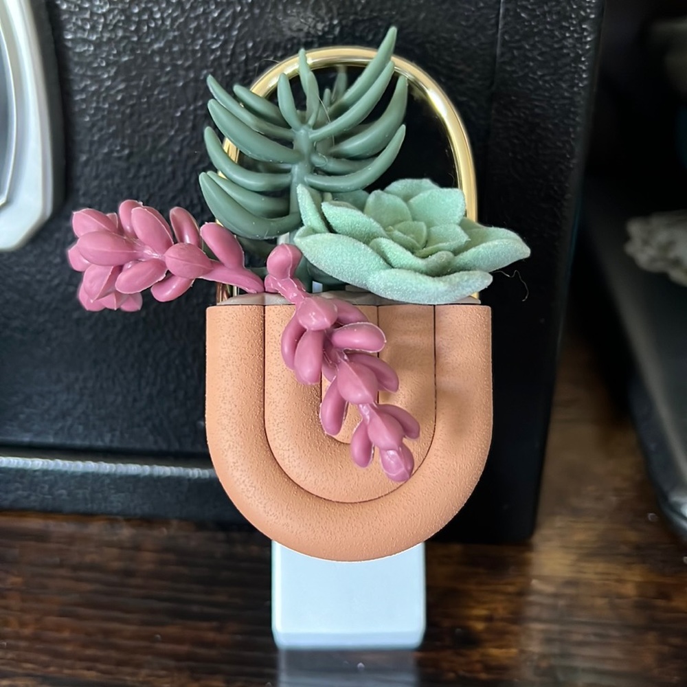 BBW succulent wallflower 🌵🪴
